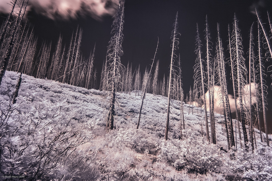 Photographical Exploration of the US in Infrared-13