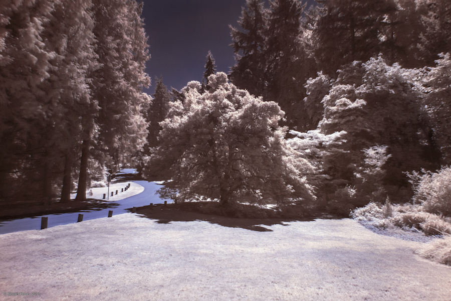 Photographical Exploration of the US in Infrared-18