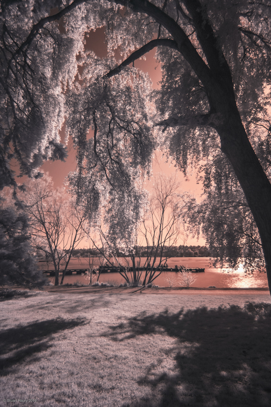 Photographical Exploration of the US in Infrared-7