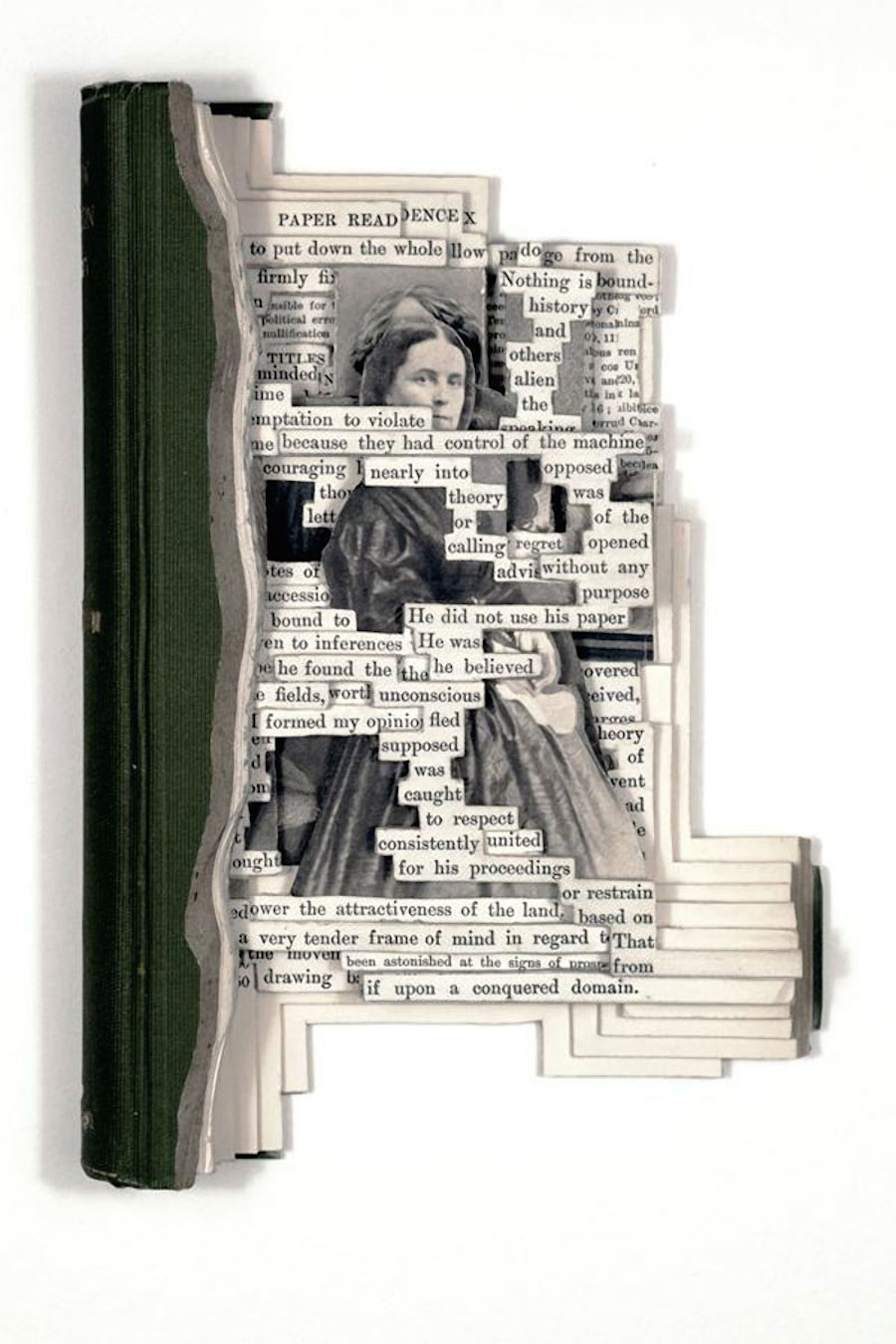 Superb Portrait Book Sculptures by Brian Dettmer-3