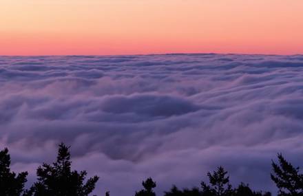 Timelapse of the Fog on Mount Tamalpais in California