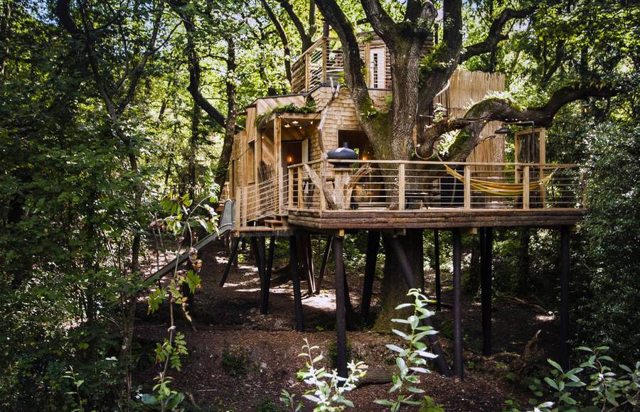 Cosy and Luxury Treehouse in England