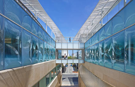 Office Building with Textured Glazing in California