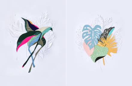 Colorful Compositions of Cut Paper