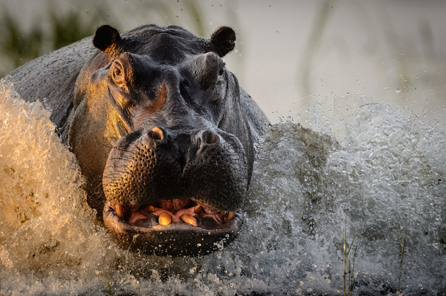 natgeo2016-14