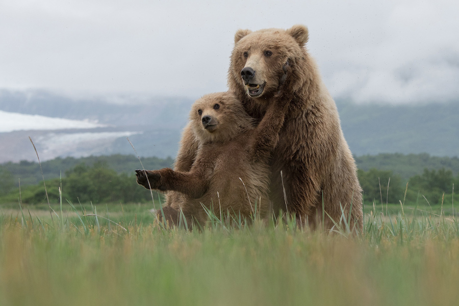 natgeo2016-7