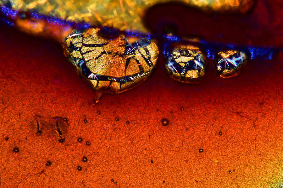 nikonsmallworld9