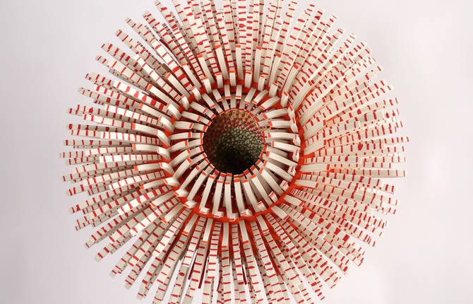 Textured Sculptures Made from Thousands Porcelain Spines