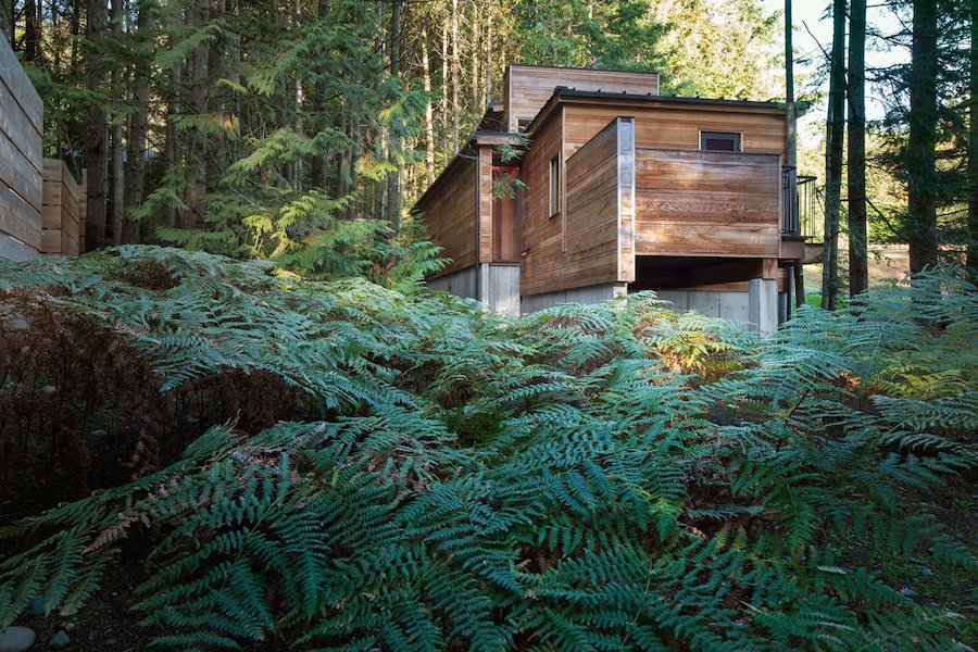 Artist's Wooden Cabin in Canada-1