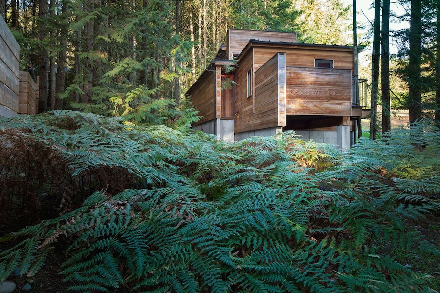 Artist's Wooden Cabin in Canada-1