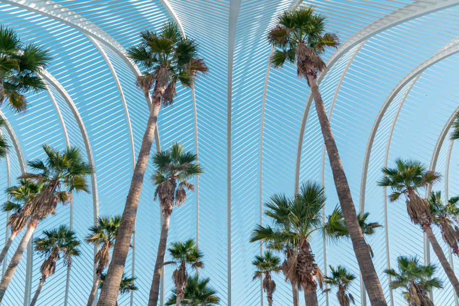 Bewitching White and Sky Blue Architecture Photography-0