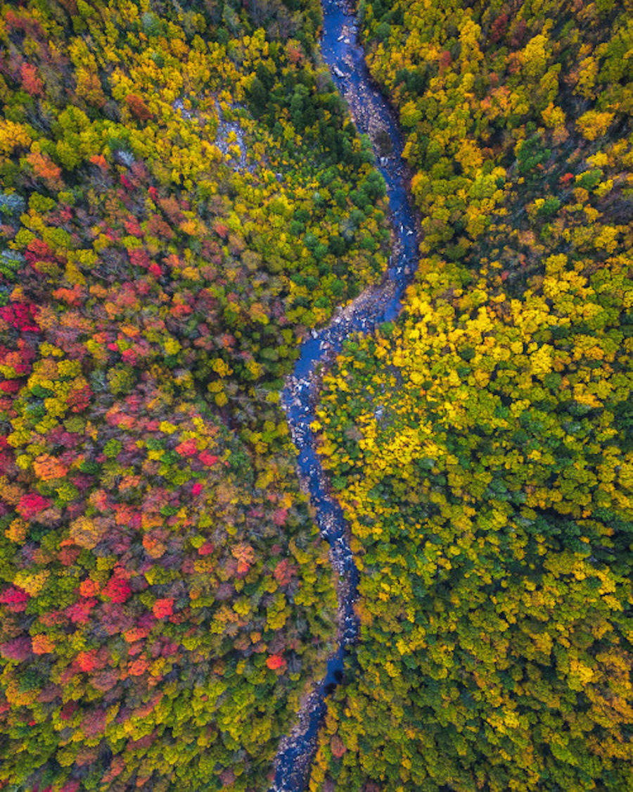 Drone Pictures Capturing the Beauty of Autumn-10