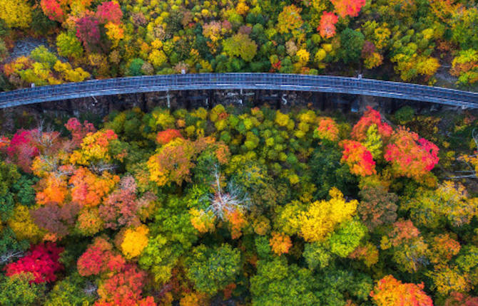 Drone Pictures Capturing the Beauty of Autumn