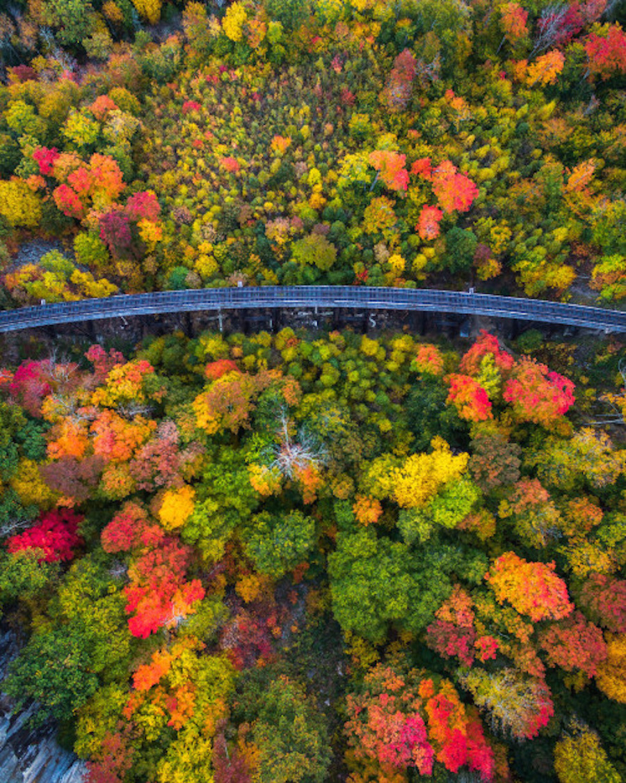 Drone Pictures Capturing the Beauty of Autumn-11