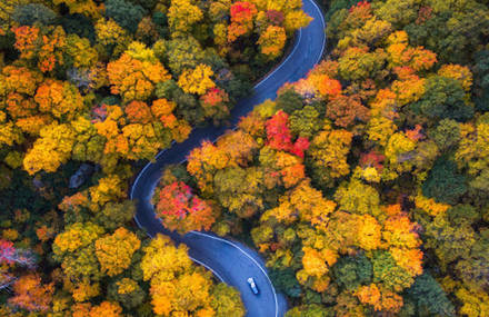 Drone Pictures Capturing the Beauty of Autumn