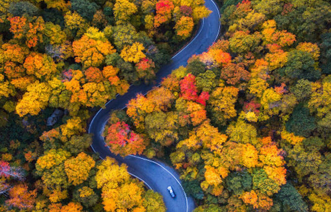 Drone Pictures Capturing the Beauty of Autumn