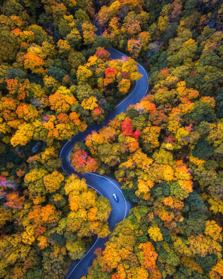 Drone Pictures Capturing the Beauty of Autumn-2
