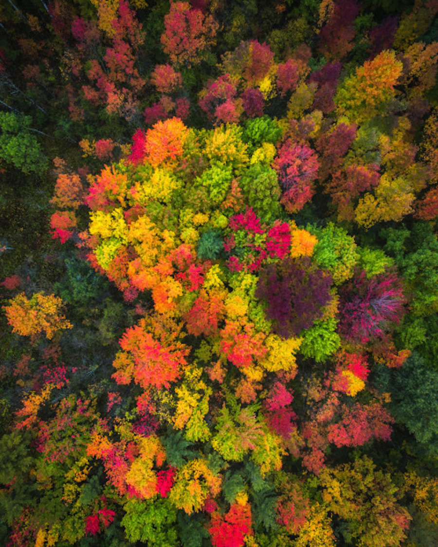 Drone Pictures Capturing the Beauty of Autumn-3