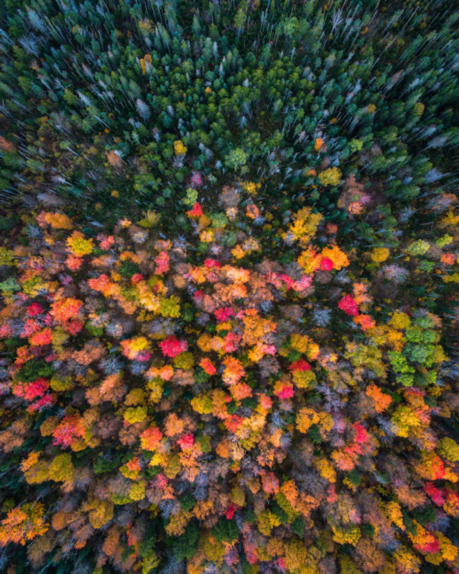 Drone Pictures Capturing the Beauty of Autumn-5