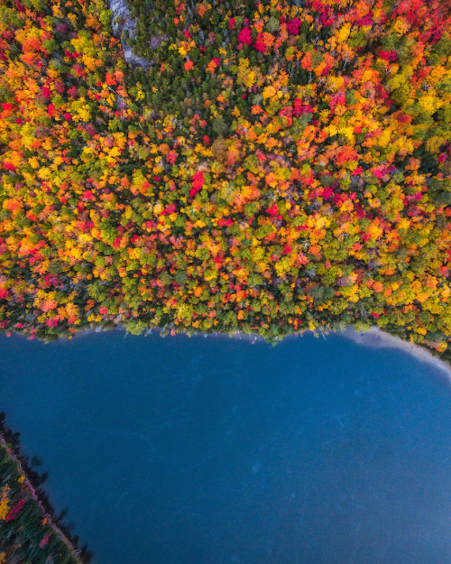 Drone Pictures Capturing the Beauty of Autumn-7