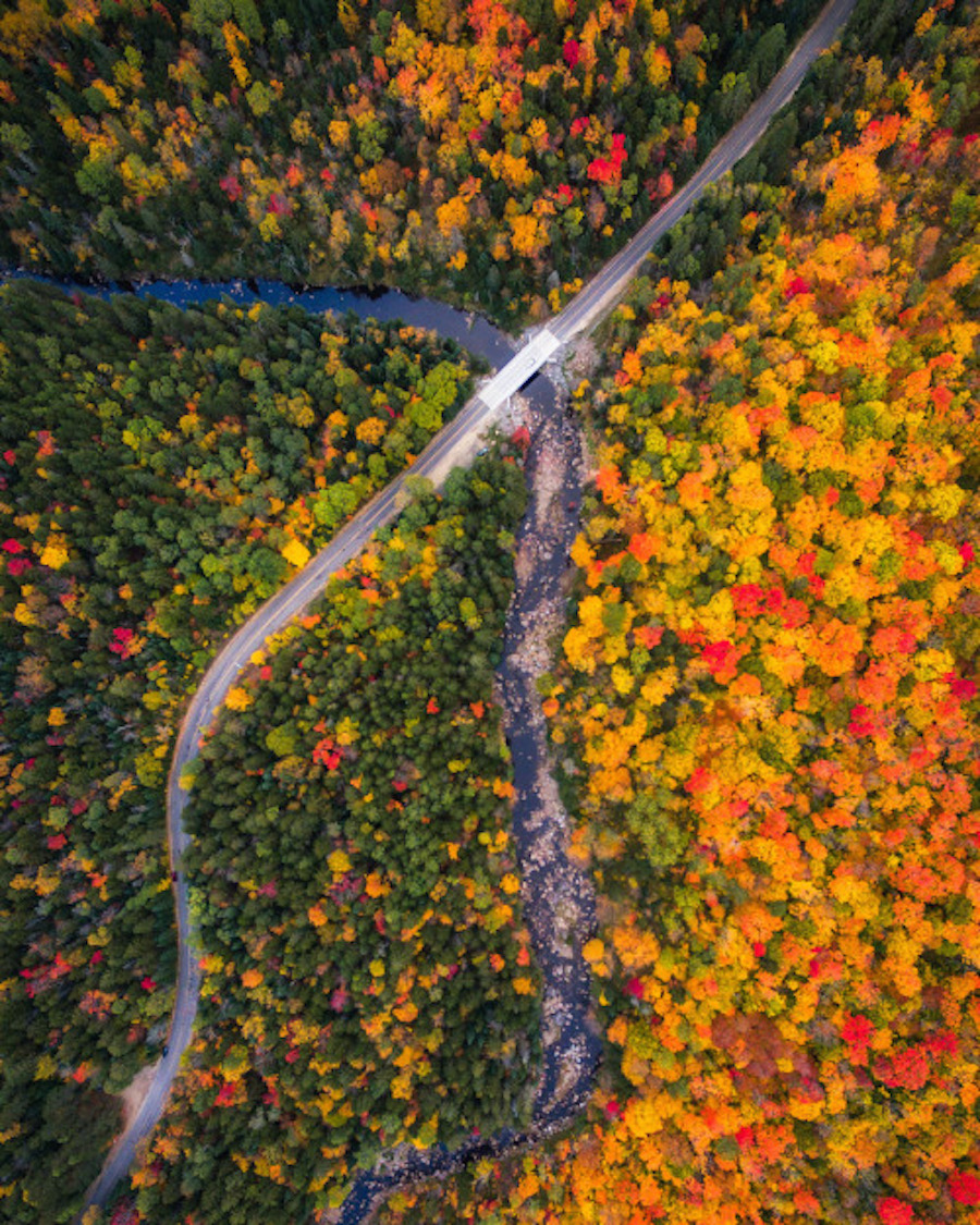 Drone Pictures Capturing the Beauty of Autumn-8