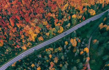 Poetic Immersion in Canada During the Indian Summer