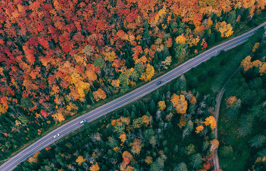 Poetic Immersion in Canada During the Indian Summer