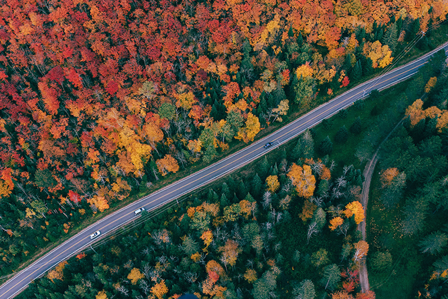 Poetic Immersion in Canada During the Indian Summer-1