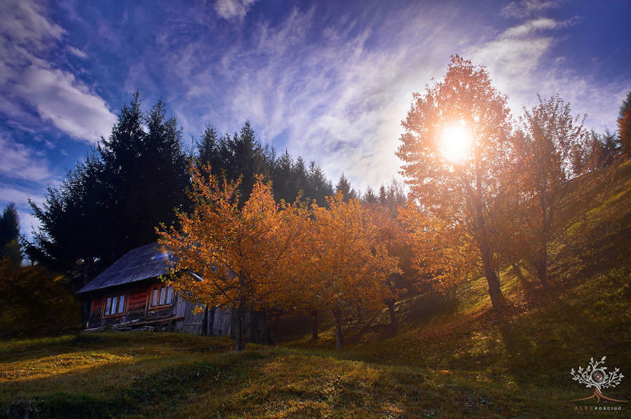 Poetic Landscapes in the Romanian Carpathian Mountains-3