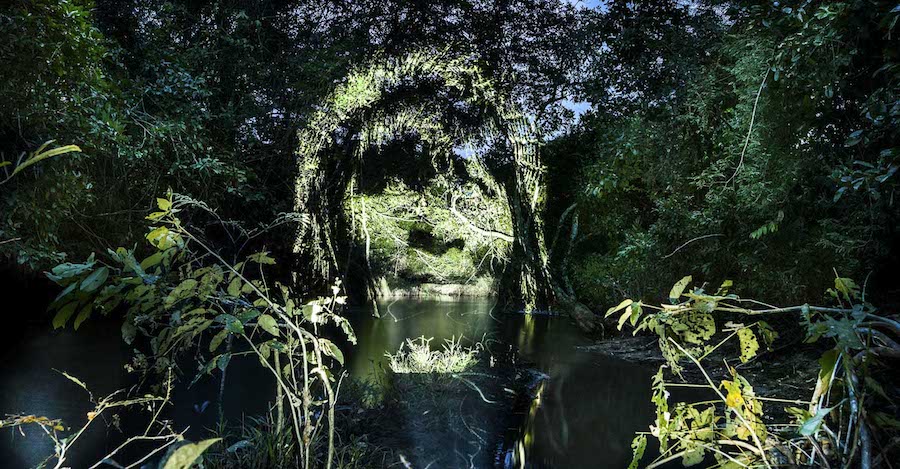Stunning Video Projections of Indians in the Amazonian Forest-7