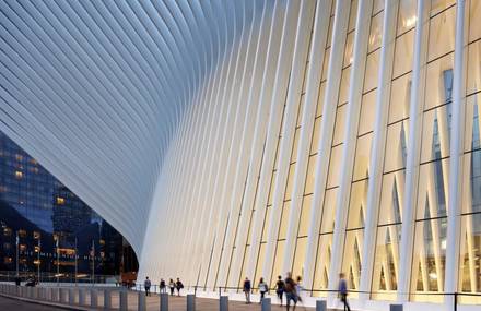 Superb Photographs of World Trade Center Oculus