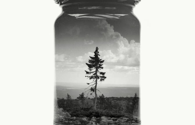 Poetic Black and White Landscapes in Glass Pots