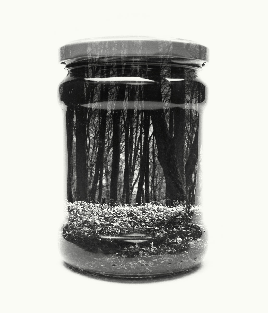 bwglasspictures2