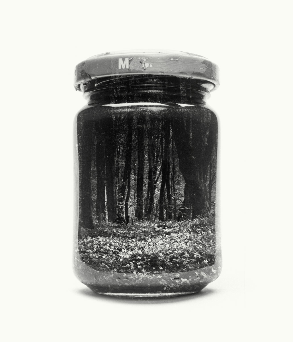 bwglasspictures3
