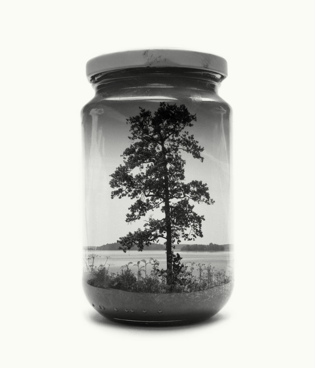 bwglasspictures8