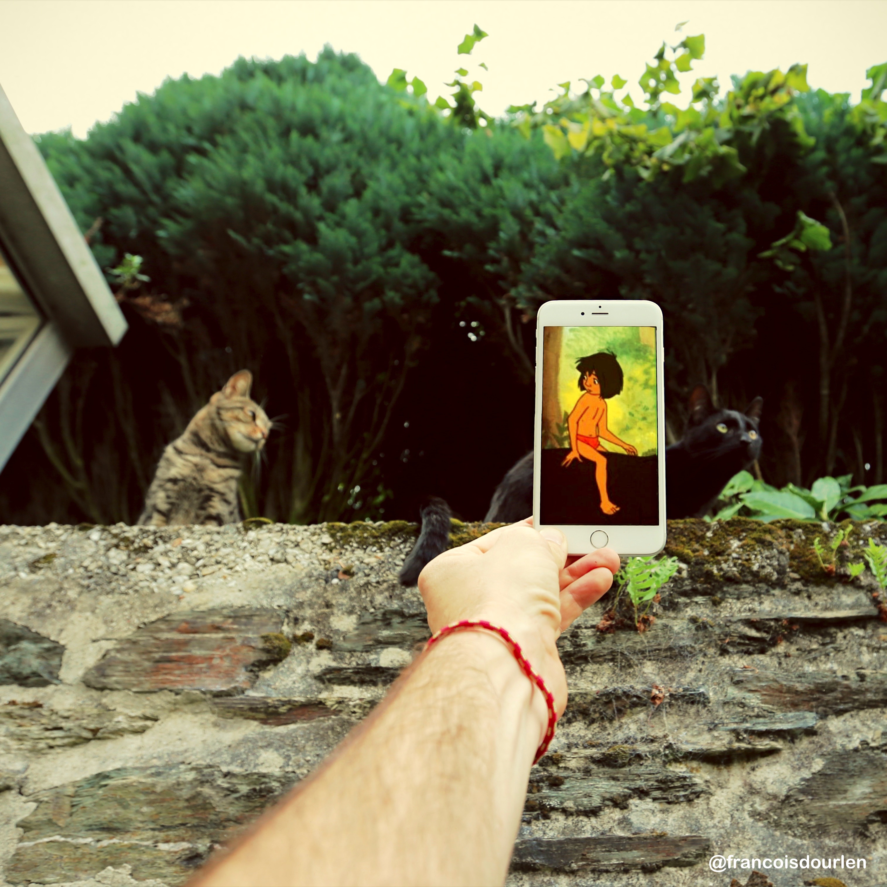 iphone5