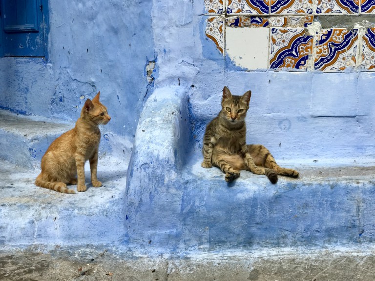 iphonemorocco5