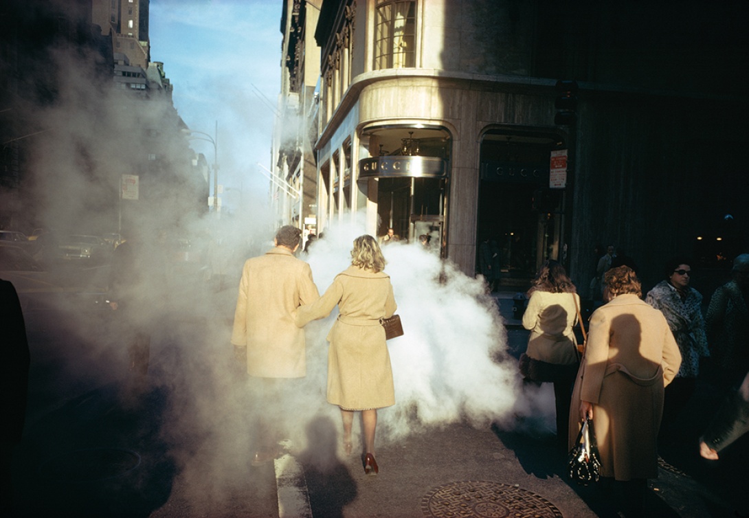 meyerowitz7