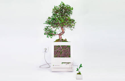 Old Apple Products Turned into Plants