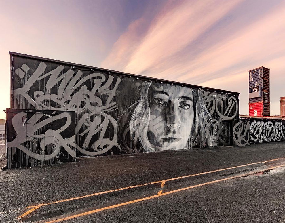 nature of beauty street art by rone 5