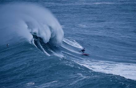 Amazing Pictures of Surfers in Portugal