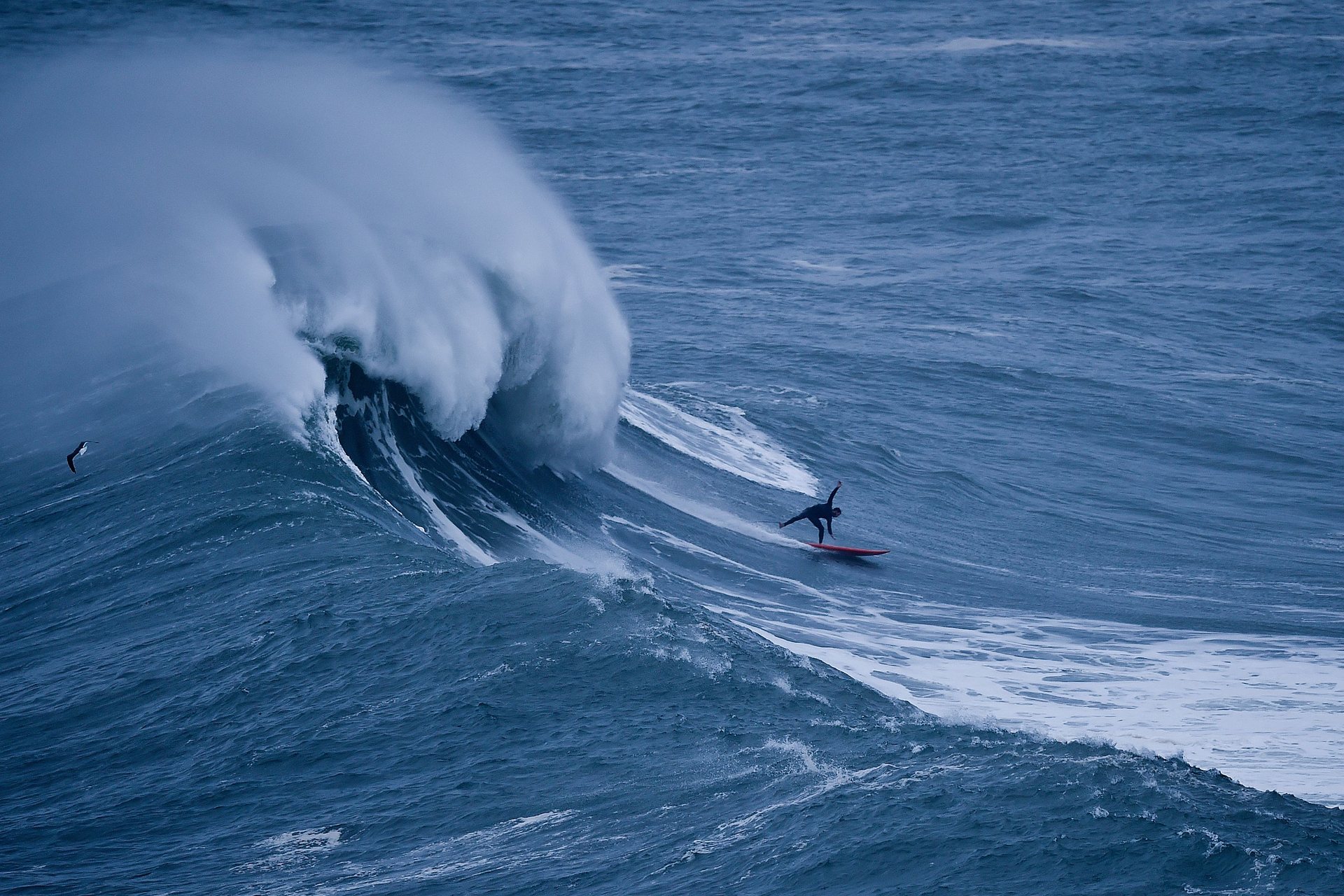 surfersportugal1