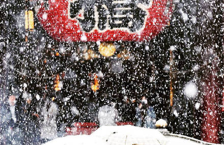 Enchanting Photographs of Snow in Tokyo