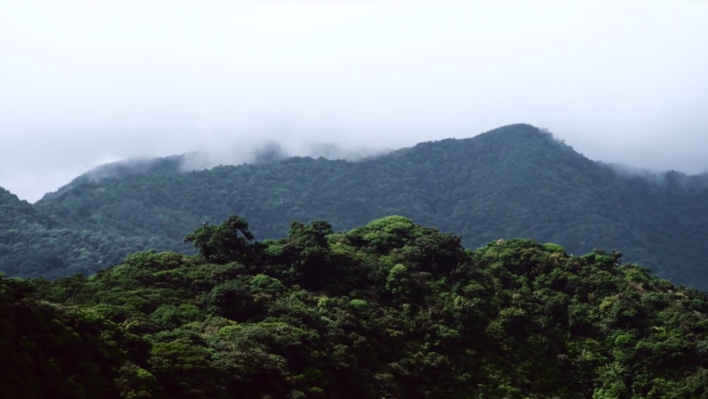 Wild Costa Rica by Antoine Janssens