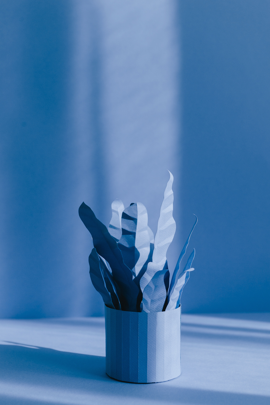 Creative Monochrome Paper Plants-1