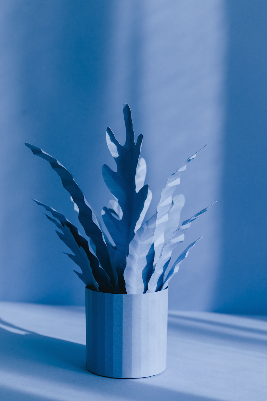 Creative Monochrome Paper Plants-4