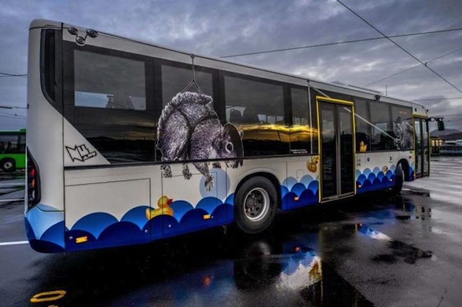 Creative Street Art Buses in Norway-7
