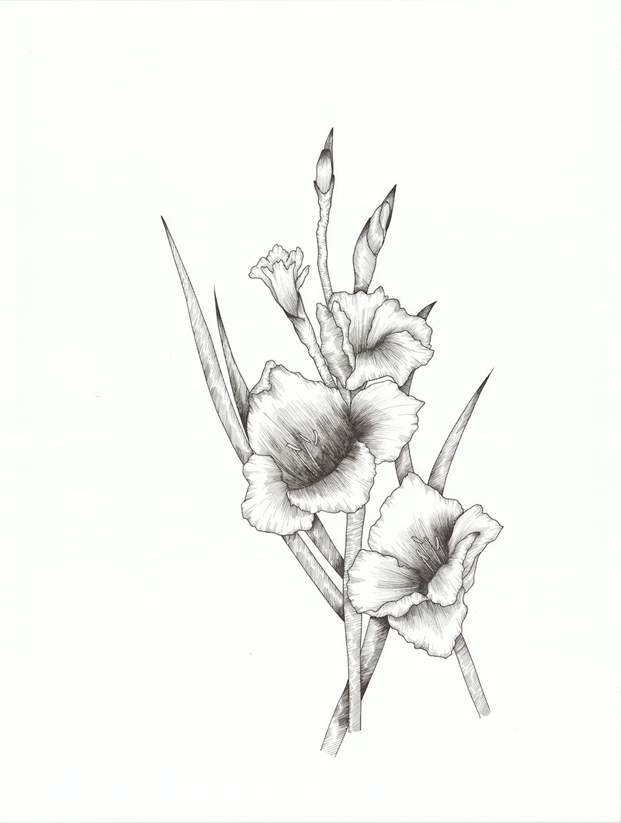Delicate Drawing Compositions with Flowers-4