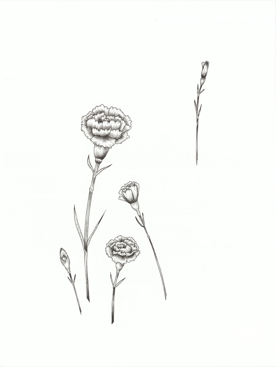 Delicate Drawing Compositions with Flowers-5