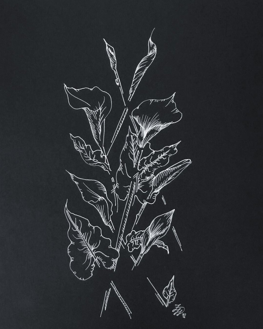Delicate Drawing Compositions with Flowers-6
